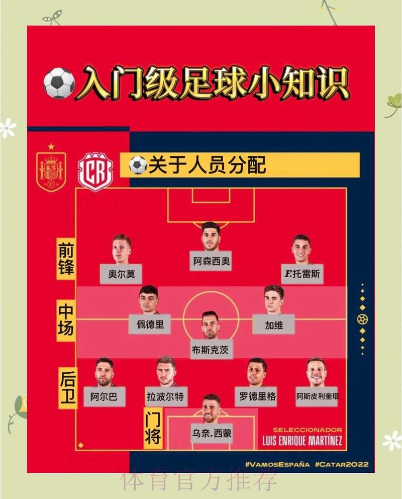 深入解读世界杯球队战术与策略分析